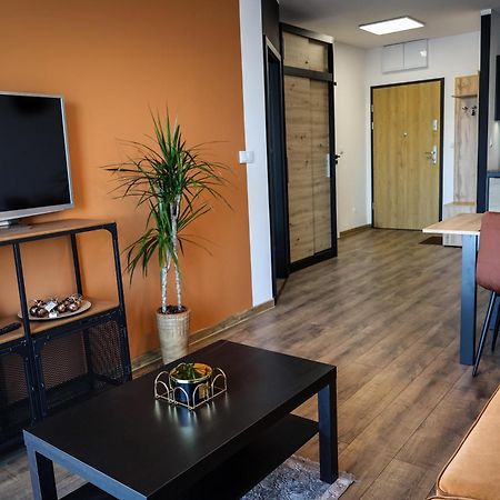 Apartament Ginger - Stare Miasto - Bezplatny Parking - Youtube Apartament Ginger We Wroclawiu Exterior photo